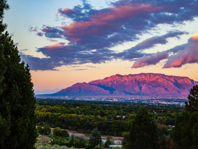 CONAA Council on Nursing & Anthropology Abstracts, 80th Annual Meeting of the Society for Applied Anthropology, Albuquerque, NM, March 17–21, 2020